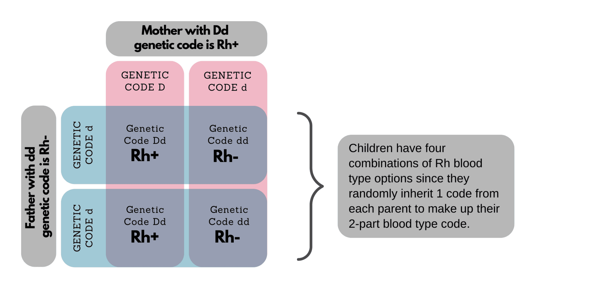 Genetic Blood Type Explained - Carter BloodCare